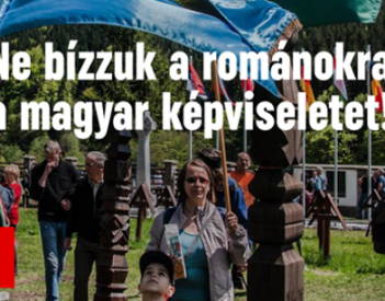 A regáti szavazatok regáti kispártnak mutatják az RMDSZ-t