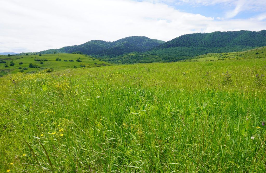 Gazdálkodókat keres a kalotaszegi táj