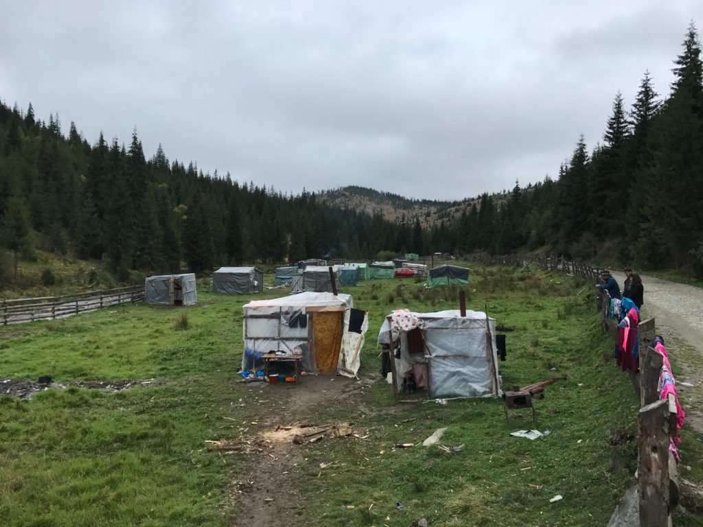 Vadon termő gombát gyűjtők tábora