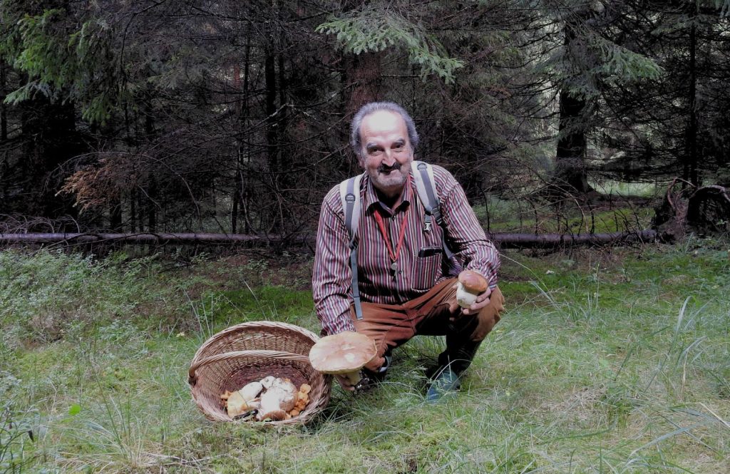 Zsögön Zoltán vadon termő gombákkal