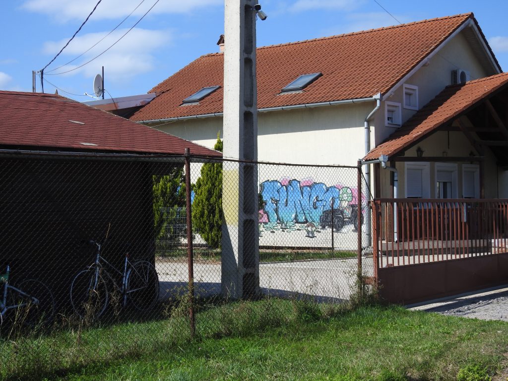 Vadon termő gombák madéfalvi átvevőpontja